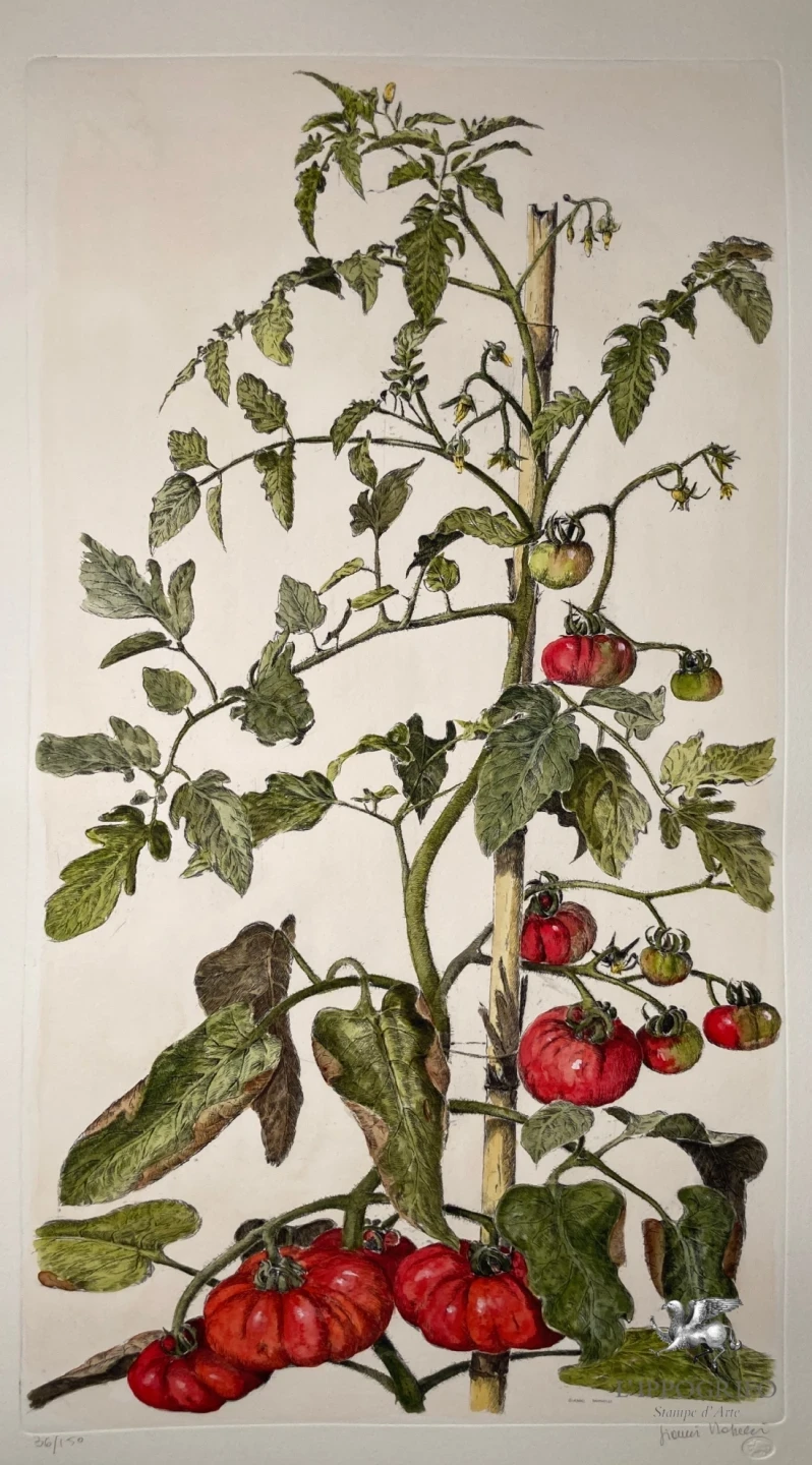 Tomatoes