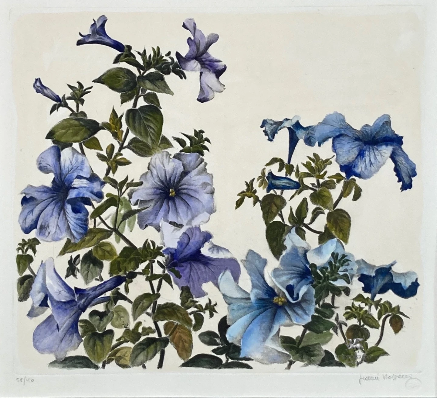Petunias