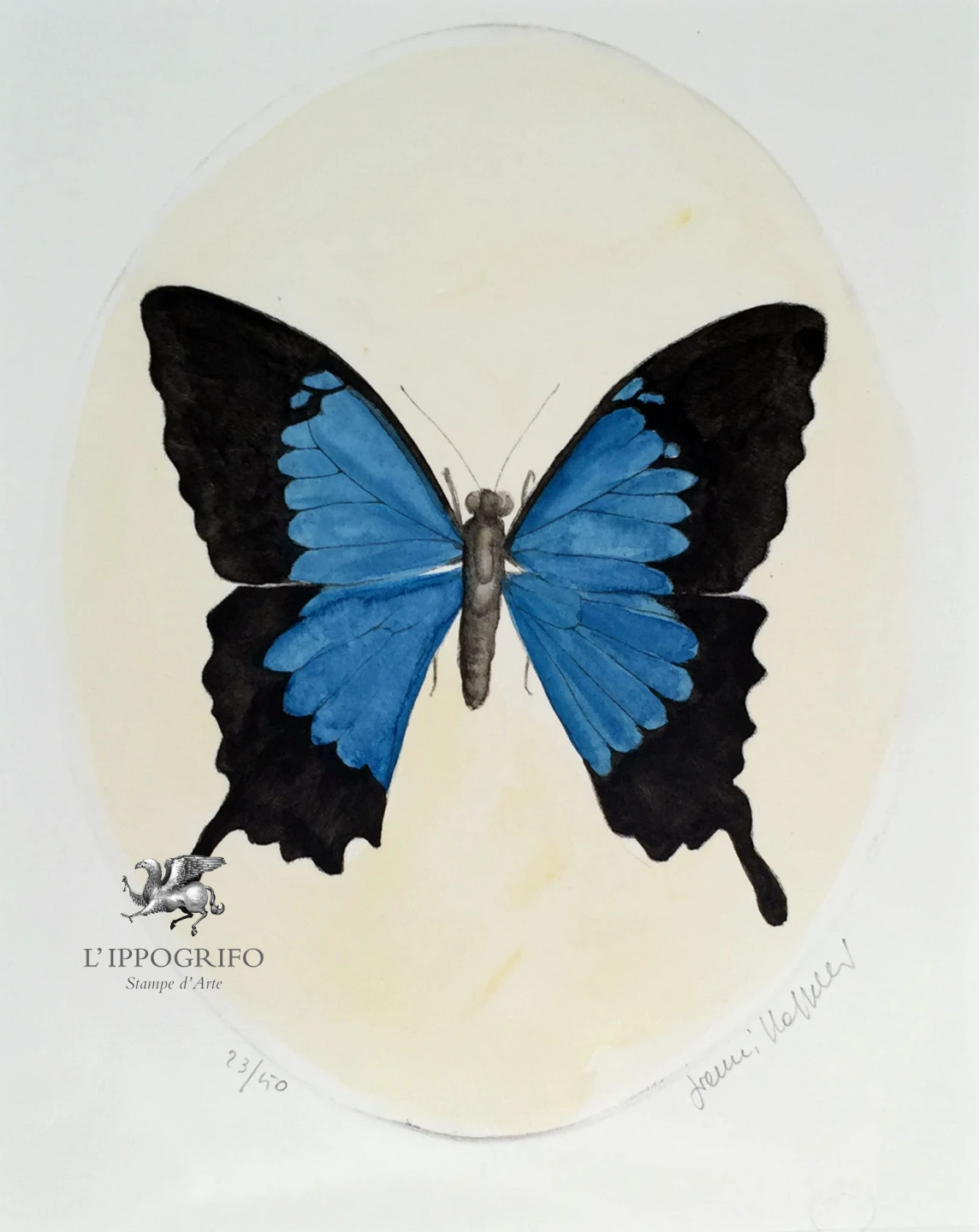 Farfalla blu