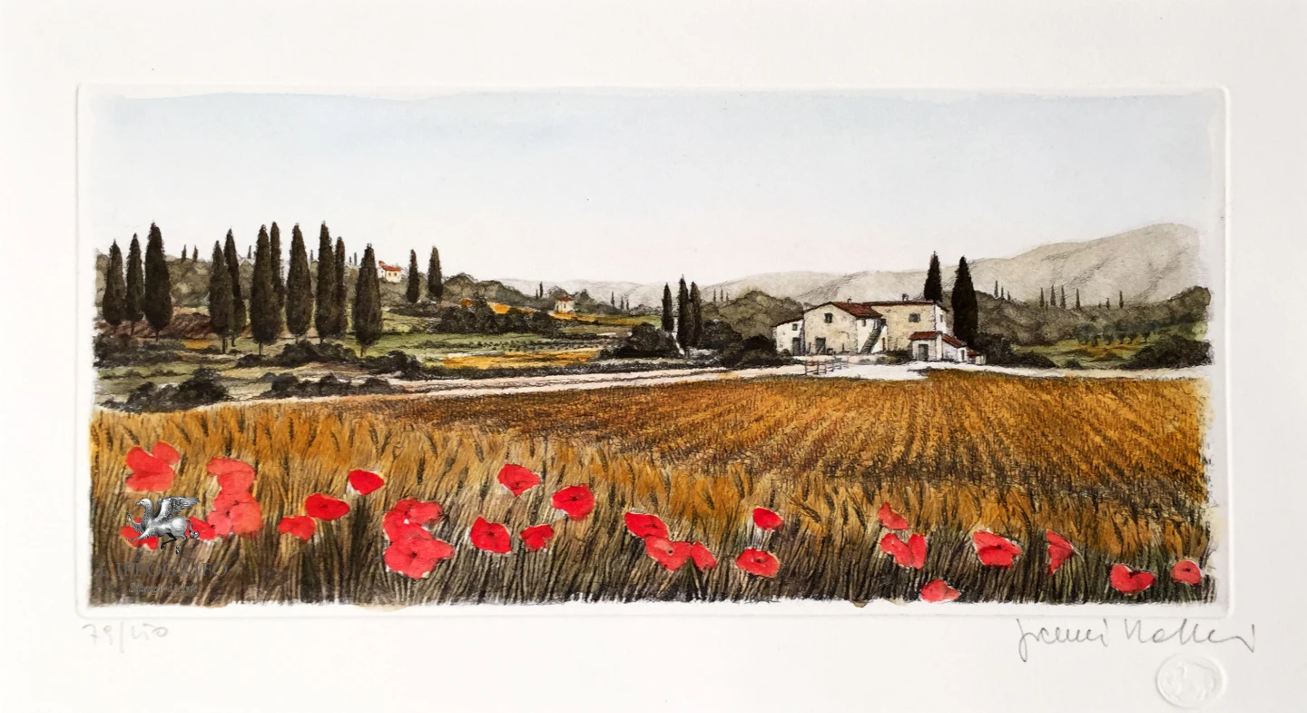 Campo di papaveri