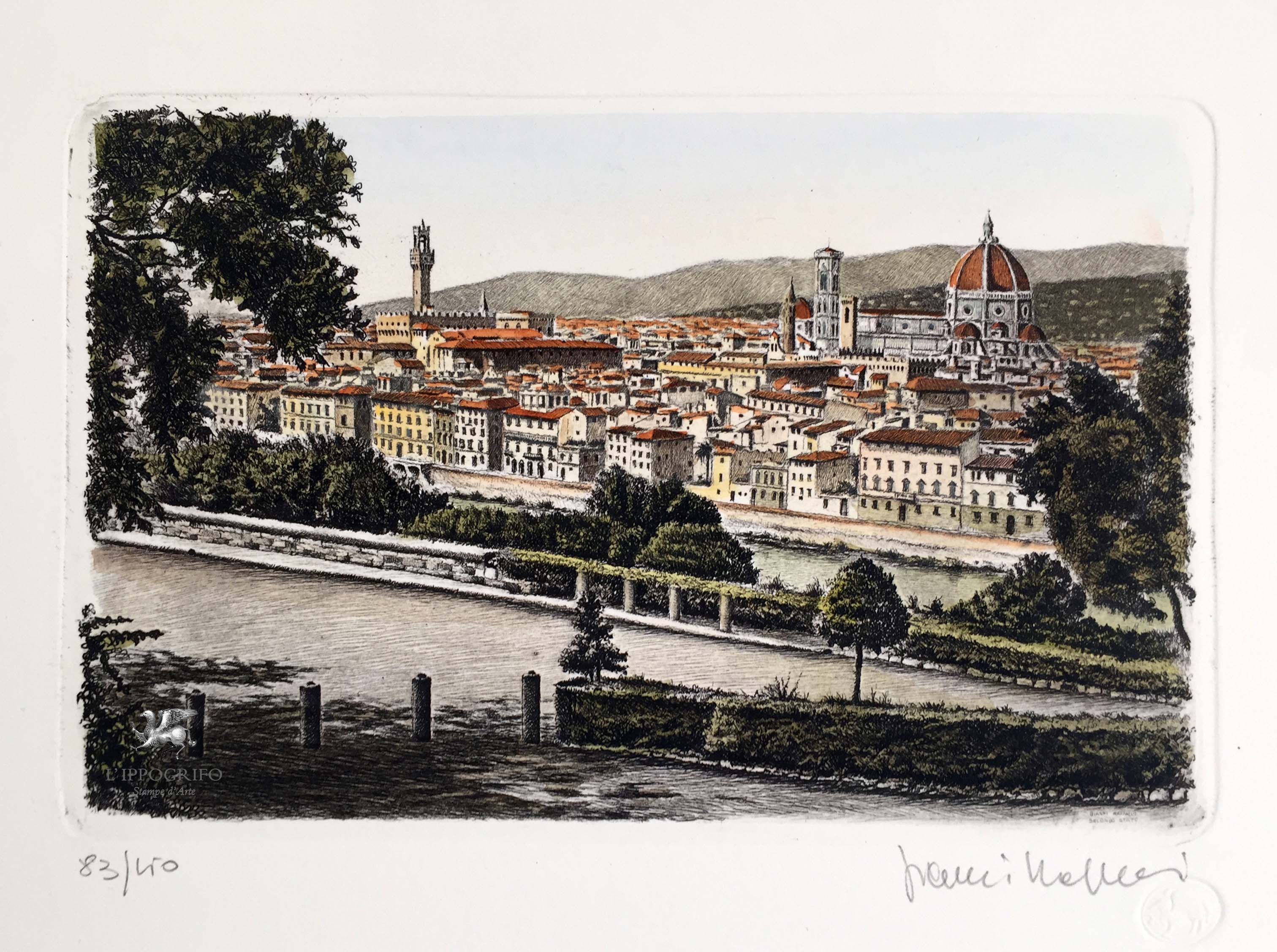 Firenze dalle Rampe del Poggi